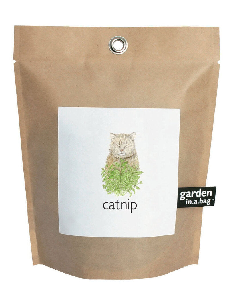 Local by Design | Garden in a Bag Catnip